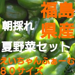 福島県産産!おまかせ夏野菜セット８０サイズ