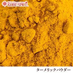 ターメリックパウダー 100g AS015300100