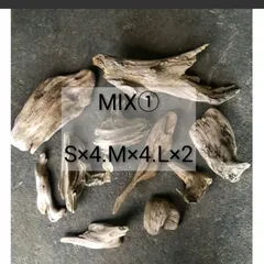 南信州産 天然流木 いろいろ流木 【アソート１０個セット】【●MIXセット(1)【S×4個、M×4個、Ｌ×2個】 格安まとめ売り 大きめ流木 淡水流木 川流木 根流木 平流木  変形流木