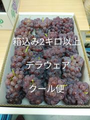 デラウェア　箱込み2キロ以上　ぶどう　露地栽培　クール便