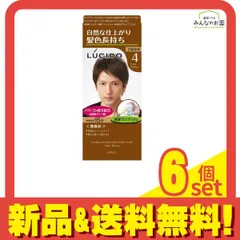 LUCIDO(ルシード) ワンプッシュケアカラー 4 ライトブラウン [1剤50g+2剤50g] 1個 6個セット まとめ売り