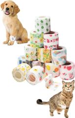 Item thumbnail for item 3d21a189-2723-4773-aa12-663e1a95b916