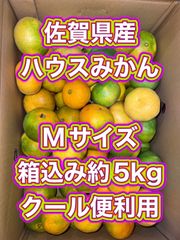 北海道沖縄離島追加送料無し 鹿児島県産 生ライチ1kg クール便お