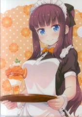 [중고] 클리어 파일 타키모토 히후미 그려내 A4 클리어 파일 [코믹스 NEW GAME! 6권] 토라노아나 구입 특전