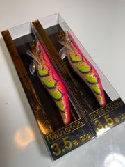 スクイッドマニア　ワイルドチェイス　3.5号　2021年カラー