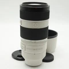 2025年最新】SONY FE 100-400mm F4.5-5.6 GM OSS SEL100400GM