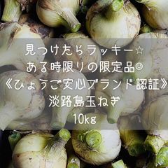 【見つけたらラッキー⭐︎】淡路島　減農薬　新玉ねぎ　訳あり　お買い得品　白い玉ねぎ　玉ねぎ　タマネギ　10kg