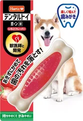新品　| | ハーツ(Hartz) デンタルケア いちごフレーバー M | 歯磨きおもちゃ 犬用おもちゃ 歯みがき ボーン デンタルトイ