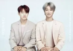 【中古】コレクションカード(男性) 098：SEVENTEEN/HOSHI(ホシ)・THE 8(ディエイト)/ノーマルカード/「SEVENTEEN WORLD TOUR ＜ODE TO YOU＞ IN JAPAN」トレーディングカード