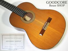 Squier スクワイヤー MIKE DIRNT PRECISION BASS マイクダーント