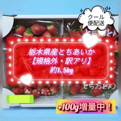 【予約早割】【クール便配送】とちあいか　【規格外・訳あり】約1.5kgx4箱 クール便配送】とちあいか 【規格外・訳あり】約1.5kg - メルカリ