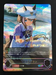 シャドウバースエボルヴ シュヴァルグラン SP 1枚 Amazon.co.jp: シャドウバースエボルヴ シュヴァルグラン 進化後