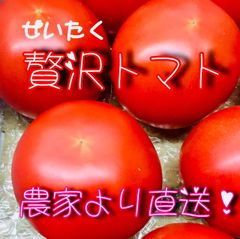 贅沢トマト(ぜいたくとまと)！農家👩‍🌾直送！フルーツトマト！コンパクト！