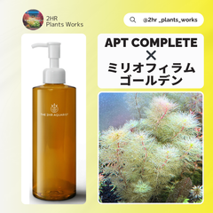【お得セット】APT Complete 300ml＆ミリオフィラム・ゴールデン 水草 2hr aquarist アクアリウム