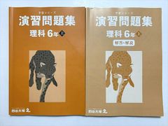 般若心経はなぜ人を癒すのか: 誰をもすぐに救う陀羅尼蔵の経典 - メルカリ