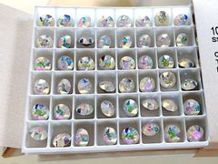 SWAROVSKI #1088 SS39　クリスタルトランスミッション