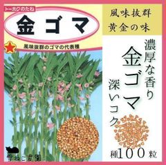 【野菜の種】簡単栽培、自家製のゴマは濃厚で深いコク！「金ゴマ」の種１００粒