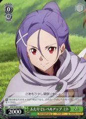 [중고]바이스슈바르츠 SAO/S100-046[C]: 두 사람으로 레벨업 미토