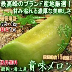 貴味メロン 特大サイズ 飯岡・海上産 約3～4kg 1玉入り 贈答規格 千葉県産 国内屈指のメロン産地で育てたギフト果物！濃厚な甘さと抜群の味