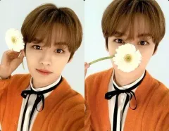 【中古】コレクションカード(男性) Stray Kids/Lee Know(リノ)/花持ち/「NACIFIC×Stray Kids」フラワーイベント購入特典両面フォトカード 第十弾