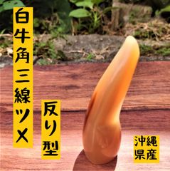 【乳白牛角】【反り型】【中サイズ】三線ツメ（バチ）SU01-220629