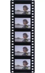 2026年最新】乃木坂46栞の人気アイテム - メルカリ