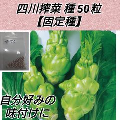 四川搾菜 種50粒【固定種】shop