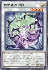 白き森の幻妖 【レア】 (3枚セット)  ALIN-JP041 アライアンス・インサイト (ALIN) 遊戯王 トレカ道