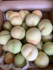 2025年最新】山梨県産若桃の人気アイテム - メルカリ 