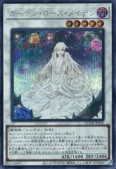 ガーデン・ローズ・メイデン【プリズマティックシークレット星5】 ガーデンローズメイデン プリズマティックシークレット - メルカリ