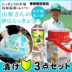 ☆2024年新物☆鳥取県福部産「山根さんの砂丘らっきょう3点set(芽止め塩漬け加工品)】1kg(Ｓ-Ｍサイズ)農家指定果物yamarakkyoset
