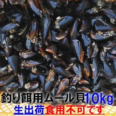 【餌代不要に‼️】イガイ等採取 現地調達 カラス貝 2025年最新】カラス貝の人気アイテム - メルカリ