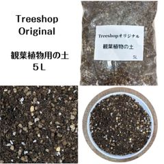 観葉植物 専用土 観葉植物用の土 5Ｌオリジナルブレンド ガーデニング 家庭菜園 園芸用品 用土 培養土 植込みのプロ御用達 果樹 花木 庭木