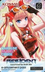 e-amusement pass IIDX30 姫留 - メルカリ