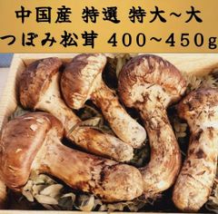 良品 中国産2L~ L大【天然 つぼみ~中腕松茸 約400~450g】 3~8本