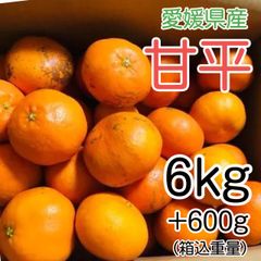 愛媛県産 甘平 6kg+600g補償分 2999円 訳あり家庭用 柑橘