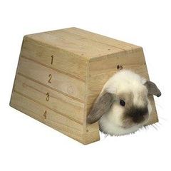 Item thumbnail for item 5b3d98c8-4aa6-4264-9773-821815ffcd69