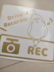 インコ　ドラレコステッカー