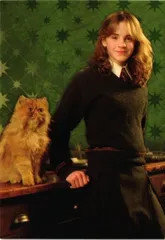 激レア　ハーマイオニー　カード 2025年最新】ハーマイオニー カードの人気アイテム - メルカリ