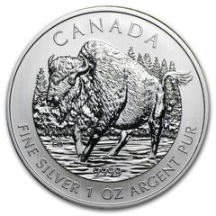 メイプルリーフ 銀貨 カラー インドの神様 ガネーシャ 1オンス 1oz