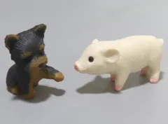 【中古】おもちゃ ヨークシャーテリア＆ミニブタ 「リカちゃん」 わんにゃんシェアハウス 購入者プレゼントキャンペーン