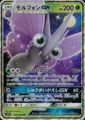 002/055/SM9A/B/RR モルフォンGX