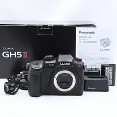 2024年最新】dc-gh5 中古の人気アイテム - メルカリ