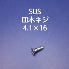 SUS 　皿木ネジ　4.1×16