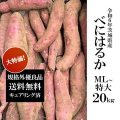 茨城県 旭村 熟成高糖度さつまいも ”旭甘十郎 紅はるか” S/M/L