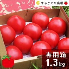 まるかじり農園の自信作　王様トマト　1.3kg箱