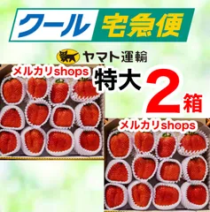 ②箱【クール便】特大!! 愛媛県産新鮮朝採りいちご