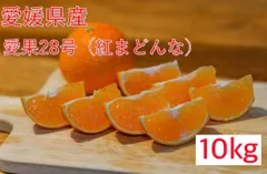 2025年最新】愛果28号 10kgの人気アイテム - メルカリ