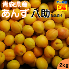 希少！　青森県産　梅　あんず　八助　2ｋｇ　クール冷蔵便無料！