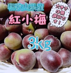 紅小梅 3kg  無選別 和歌山県産